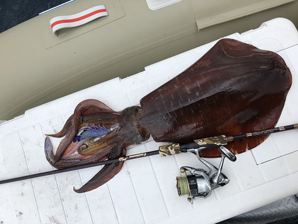 テスターさん釣果1